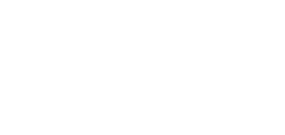 Vulpus Labs Logo
